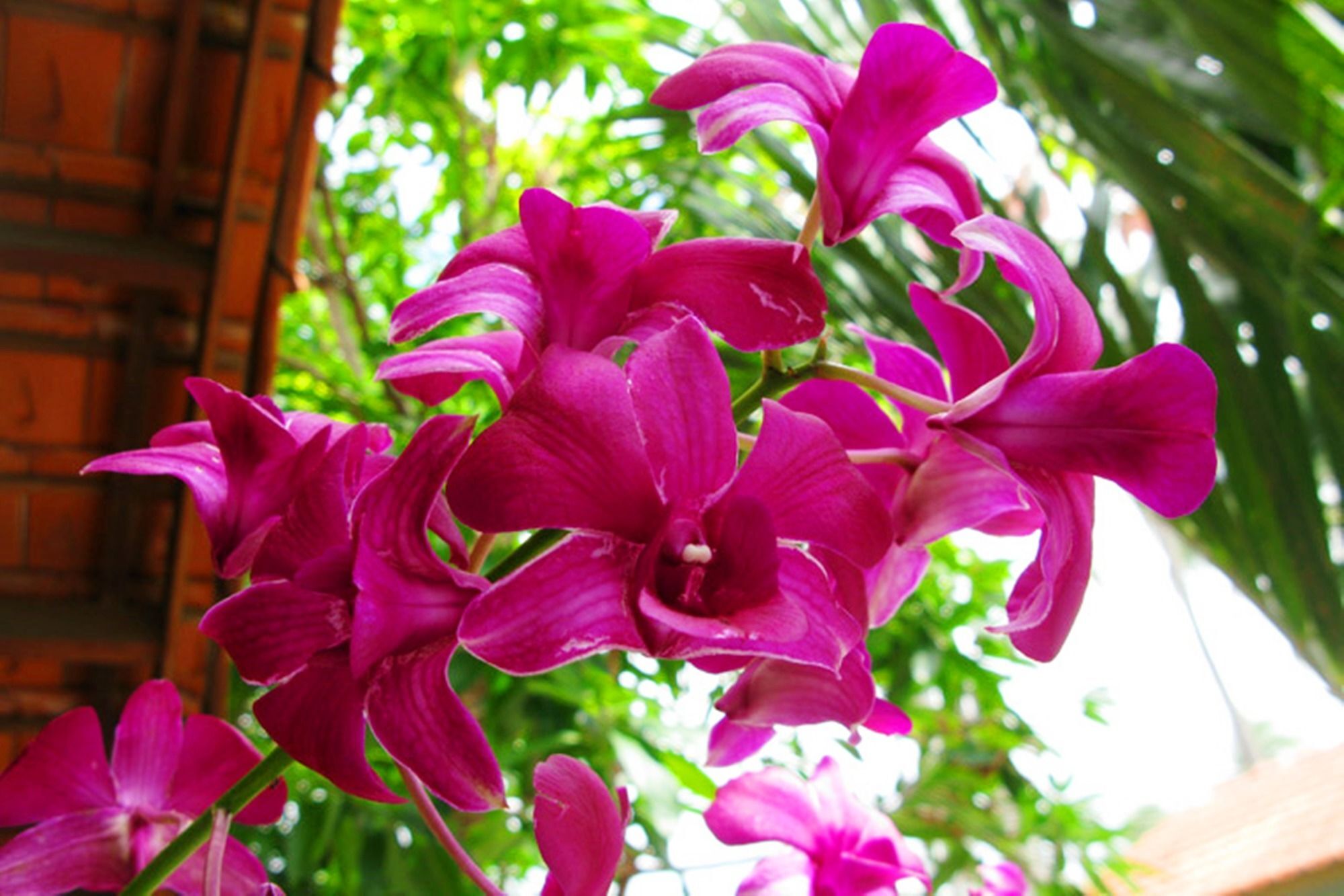 Hiep Hoa Resort Mũi Né Exteriér fotografie